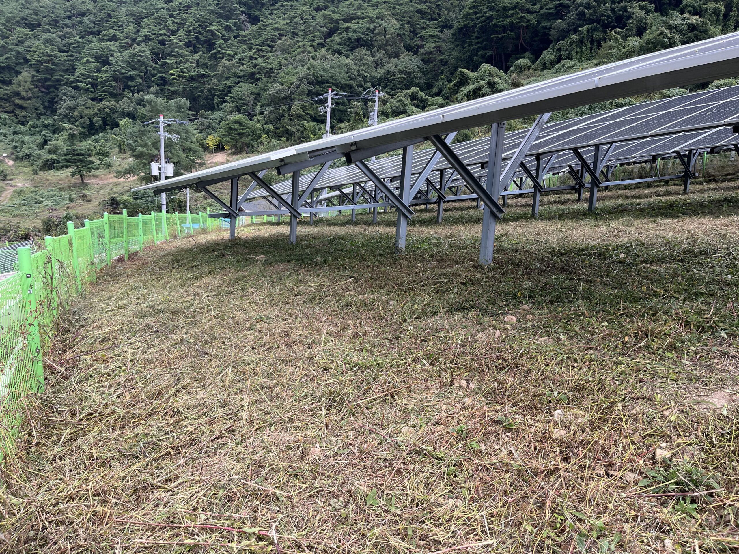 태양광 예초 후